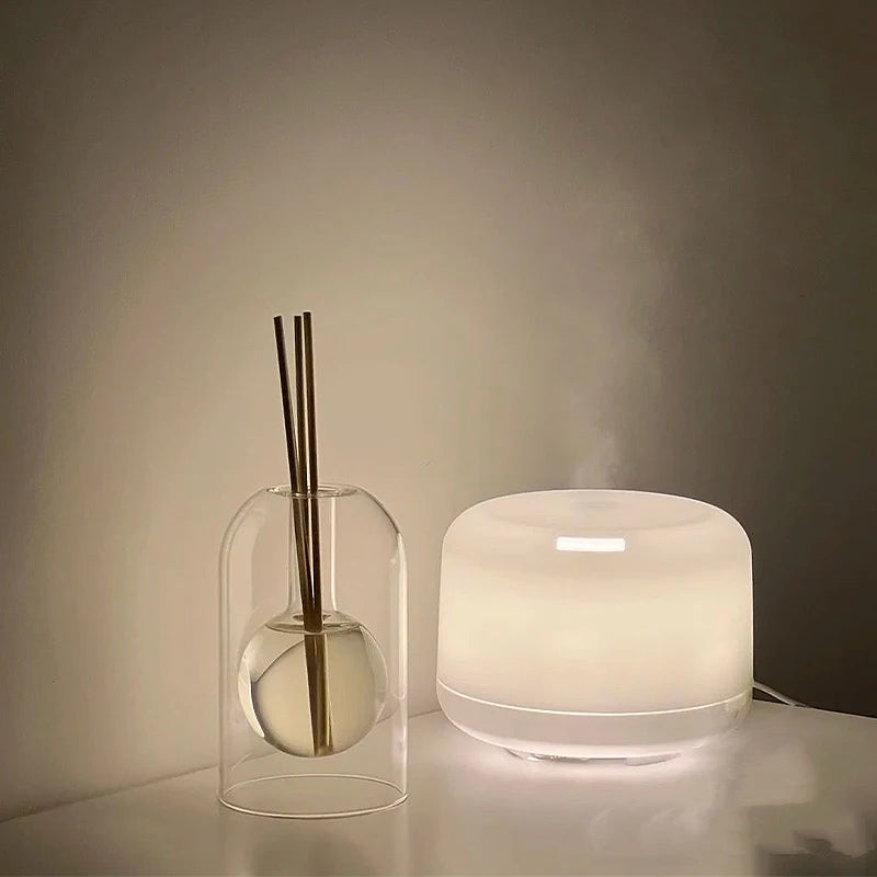 Diffuseur d’arômes japonais en verre – Bouteille moderne pour huiles essentielles et décoration zen